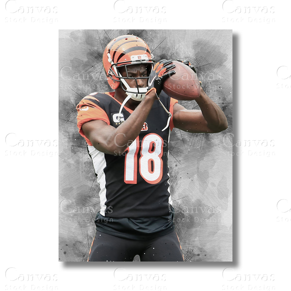 A.J. Green Distinguished Football Canvas Wall Art