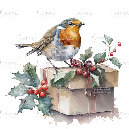 Robin Clipart, Watercolor, Jpgs, Bundle, Junk Journal, Christmas, Christmas Clipart, Digital Download