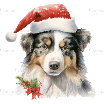 8 Australian Shepherd, Watercolor, Jpgs, Bundle, Junk Journal, Christmas, Christmas Clipart, Digital Download