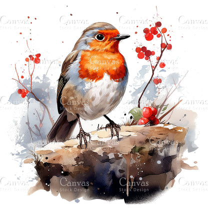 Robin Clipart, Watercolor, Jpgs, Bundle, Junk Journal, Christmas, Christmas Clipart, Digital Download