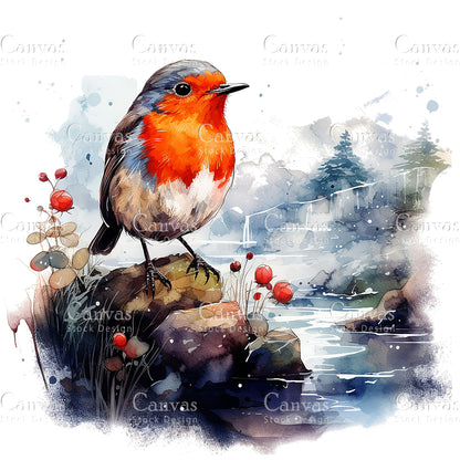 Robin Clipart, Watercolor, Jpgs, Bundle, Junk Journal, Christmas, Christmas Clipart, Digital Download