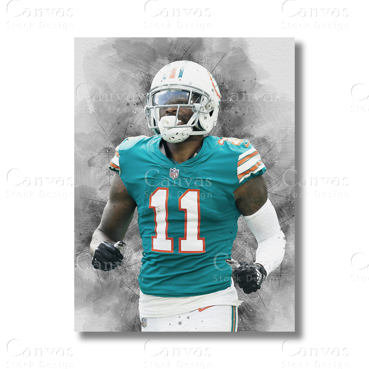 DeVante Parker canvas wall art for NFL football fans