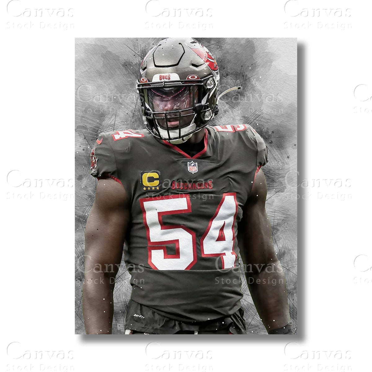 Lavonte David canvas wall art