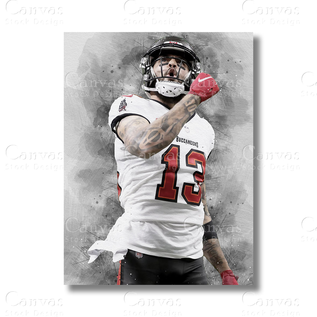 Mike Evans canvas wall art