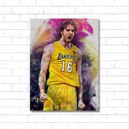 Pau Gasol Canvas Wall Art