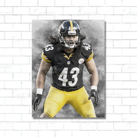 Troy Polamalu