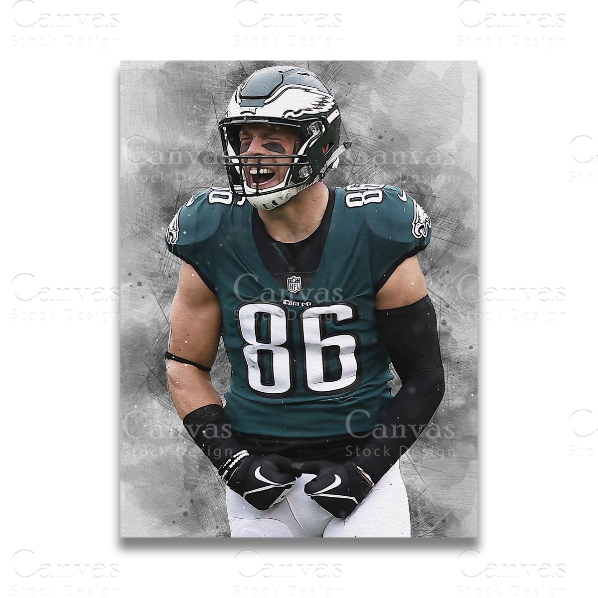Zach Ertz Canvas Wall Art