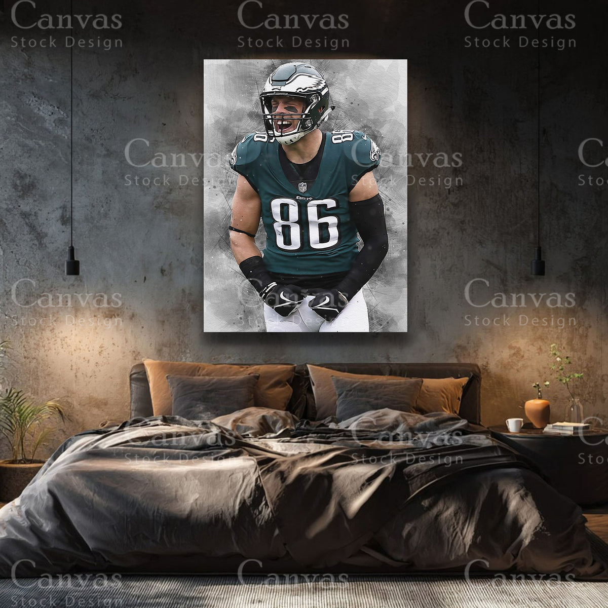 Zach Ertz NFL sports wall art for contemporary interiors