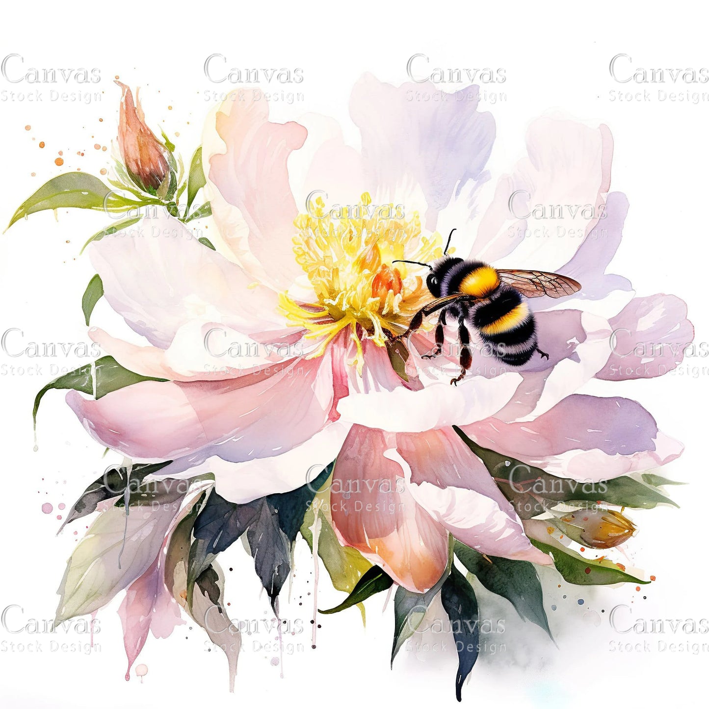 Watercolour Bumble Bee, Spring Clipart, Summer Clipart, Animal Clipart, Watercolor Flowers, Floral Clipart, Flower Clipart