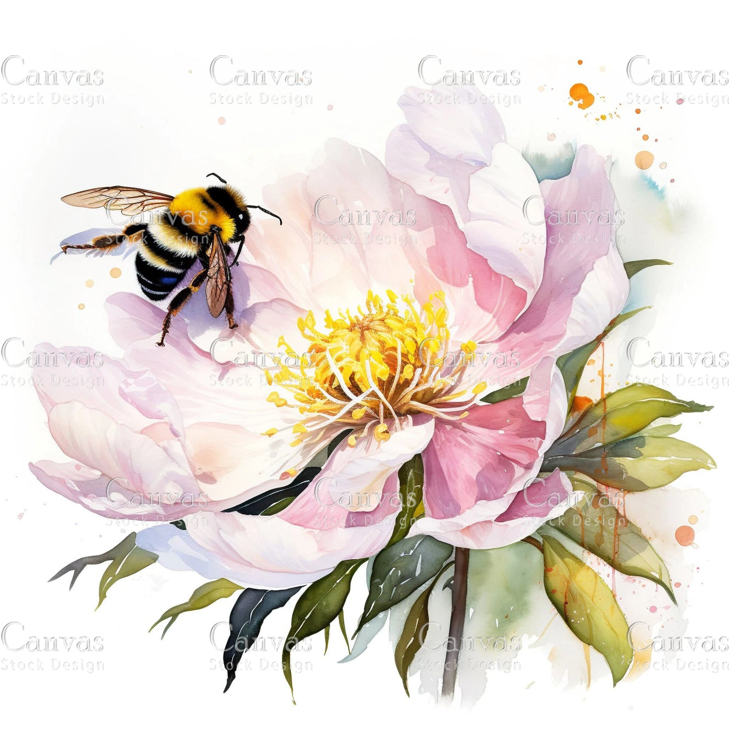 Watercolour Bumble Bee, Spring Clipart, Summer Clipart, Animal Clipart, Watercolor Flowers, Floral Clipart, Flower Clipart