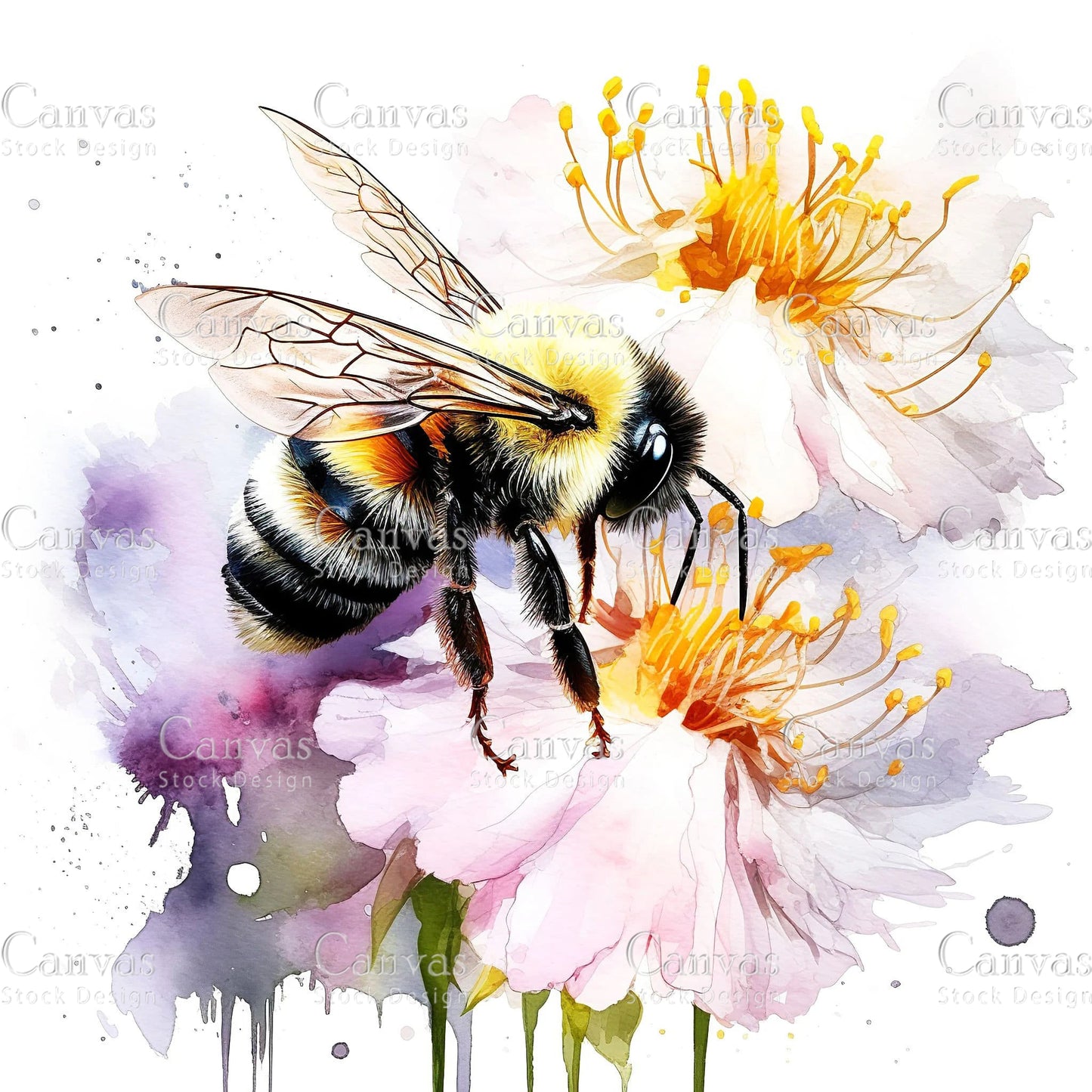 Watercolour Bumble Bee, Spring Clipart, Summer Clipart, Animal Clipart, Watercolor Flowers, Floral Clipart, Flower Clipart