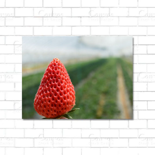 Strawberry fruit canvas wall art for bright kitchen or dining room decor